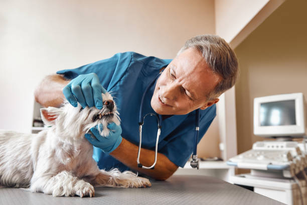 Best Pediatric Emergency Dentist in Plover, WI